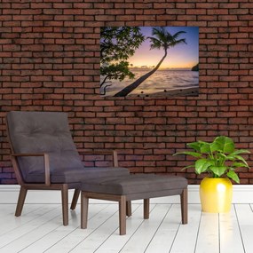 Obraz palmy na plaży (70x50 cm)