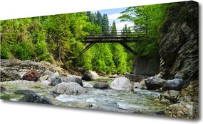 Obraz canvas Mostek w Cieniu Drzew