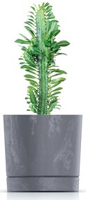 Donica ogrodowa Tubo P Beton Effect 23,9 cm marengo PROSPERPLAST