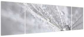 Obraz - Kropla wody (170x50 cm)
