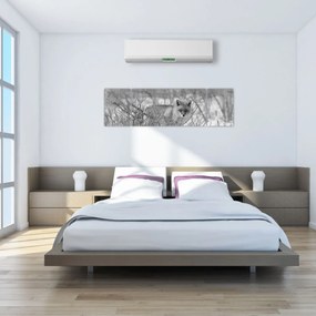 Obraz - Lis, czarno - biały (170x50 cm)