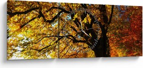 Obraz jesieni (z zegarem) (90x30 cm)