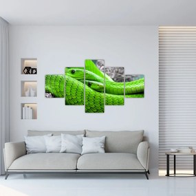 Obraz zielonych węży (125x70 cm)