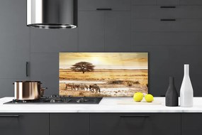 Panel Kuchenny Zebry Na Afrykańskiej Sawannie