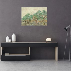 Obraz - Vincent van Gogh, The Olive Orchard, reprodukcje (70x50 cm)