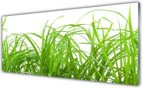 Panel Szklany Soczysta Zielona Trawa
