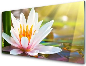 Panel Kuchenny Pełnia Letniego Rozkwitu