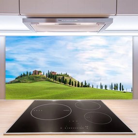 Panel nad blat kuchenny Samotne Drzewo na Polanie