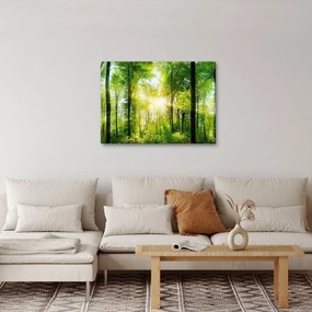Obraz - Świt w lesie (70x50 cm)