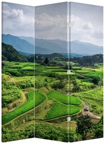 Parawan - Pole ryżowe (126x170 cm)