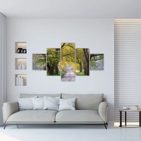 Zdjęcie - Smoky Mountains, Gatlinburg, USA (125x70 cm)