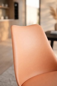 Krzeso podstawowe Synk