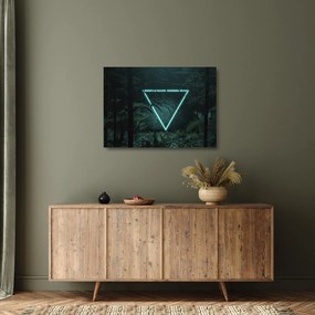 Obraz na szkle - Neonowy trójkąt w dżungli (70x50 cm)