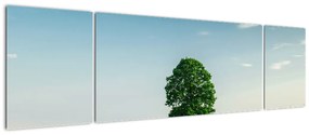 Obraz drzewa na łące (170x50 cm)