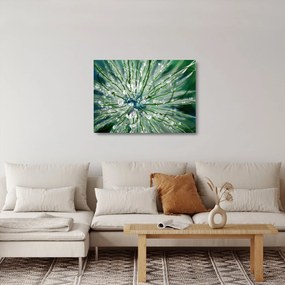 Obraz na szkle - Makro zdjęcie kwiatu (70x50 cm)