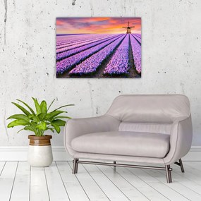 Obraz - farma kwiatów (70x50 cm)