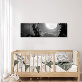 Obraz - Nocna sowa, czarno-biały (170x50 cm)