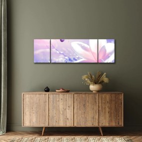 Obraz - Motyl lecący do kwiatu (170x50 cm)