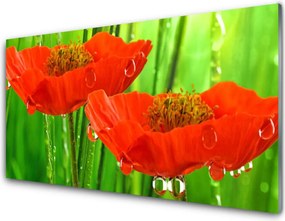 Szkło Ozdobne do Kuchni Klasyczne Maki W Rozkwicie