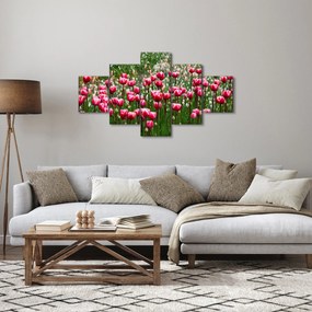 Obraz tulipanów (125x70 cm)