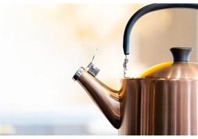 Czajnik ze stali nierdzewnej w kolorze miedzi 1,5 l Diamante – Vialli Design