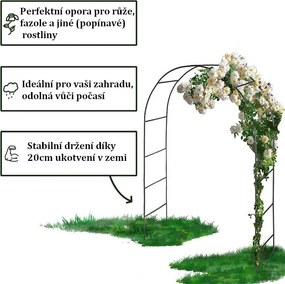 Zestaw 2 ogrodowych łuków do roślin pnących, 240 cm