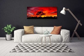 Obraz canvas na ścianę Głusza Leśnej Natury