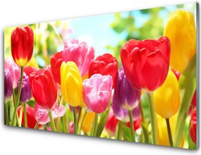 Panel Szklany Klasyczne Czerwone Tulipany