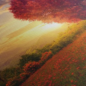 Obraz drzewa w kształcie serca (70x50 cm)