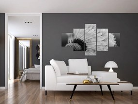 Obraz dmuchawca, czarno - biały (125x70 cm)