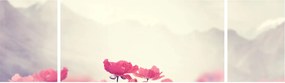 Obraz - Maki (170x50 cm)