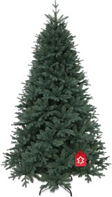 Świerk srebrny 210 cm