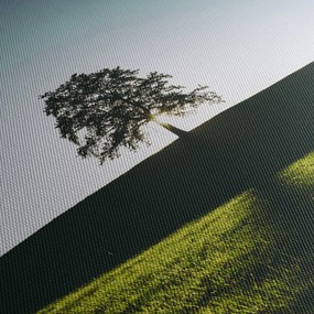 Obraz natury - drzewo (125x70 cm)