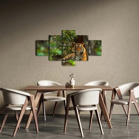 Obraz odpoczywającego tygrysa (125x70 cm)