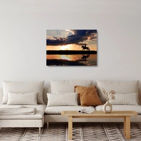 Obraz na szkle - Jeździec na koniu o zachodzie słońca (70x50 cm)