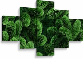 Obraz - Gałązki drzew iglastych (125x70 cm)
