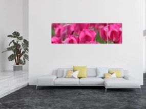 Obraz - Różowe tulipany (170x50 cm)