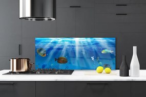 Szkło Dekoracyjne do Kuchni Egzotyczna Ryba W Tonii