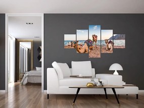 Obraz wielbłądów (125x70 cm)