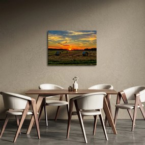 Obraz - Wiejskie bale (70x50 cm)