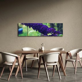 Obraz niebieskiego kwiatu (170x50 cm)