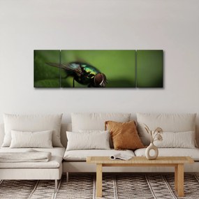 Obraz - Mucha (170x50 cm)
