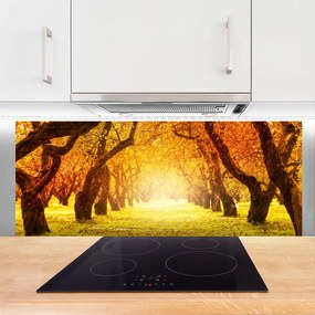 Panel Szklany Aleja W Cieniu Drzew