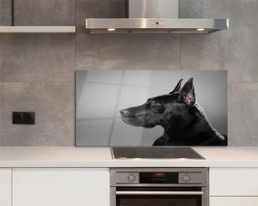 Panel szklany do Kuchni Elegancki Czarny Pies