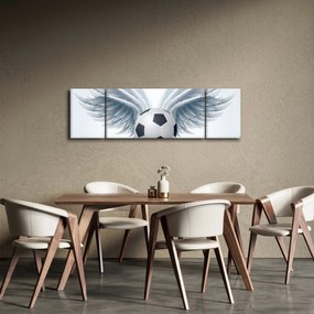 Obraz - Balon ze skrzydłami (170x50 cm)