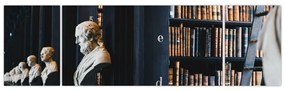 Obraz - W bibliotece (170x50 cm)