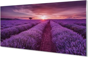 Szkło do Kuchni na Ścianę Prowansalski Styl Wrzosów