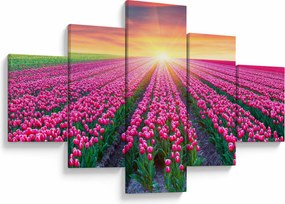 Obraz pole tulipanów ze słońcem (125x70 cm)