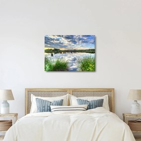 Obraz jeziora z trzcinami (70x50 cm)
