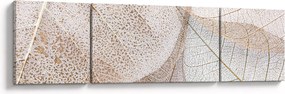 Obraz - Beżowe liście (170x50 cm)